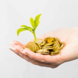 Superannuation Mackay - hand holding gold coins with plant sprouting from them to indicate growing your super