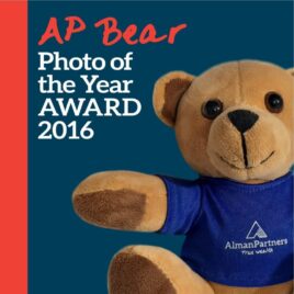 AP Bear Award Tiles 2016