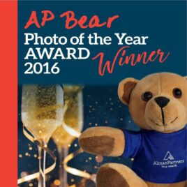 AP Bear Award Winner