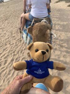 Barratt, S&P (AP Bear Winner 2021 Camel Ride – Broome) - Alman Partners | True Wealth | Financial Planning Service | Superannuation Advisers | Investment Advice Mackay & Brisbane