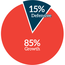 85 % Growth & 15 % Defensive - Alman Partners