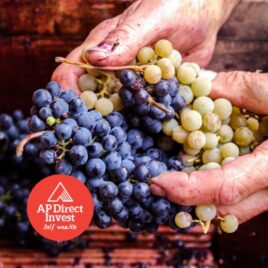Grapes, wine maker_sq_logo